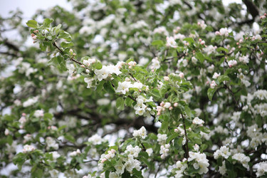 Similar image 11277122