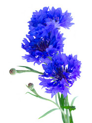 Similar image 11280075