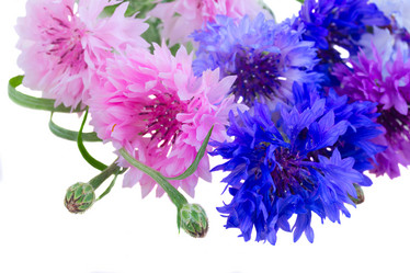 Similar image 11280076