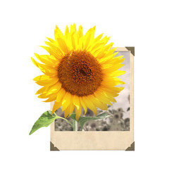 Similar image 11279052