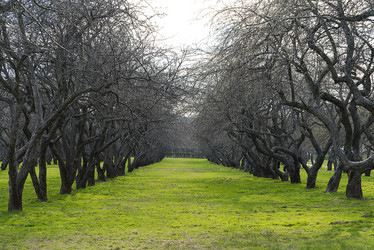 Similar image 11277899