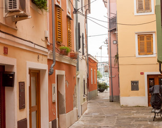 Similar image 11386575