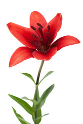 Similar image 11278068