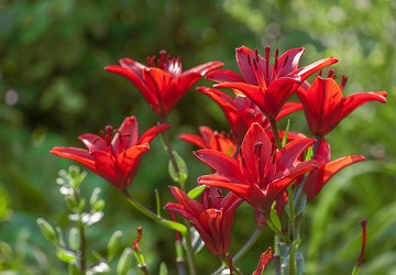 Similar image 11278071