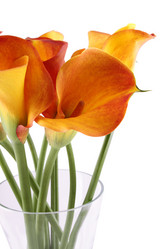 Similar image 11278862