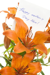 Similar image 11278863