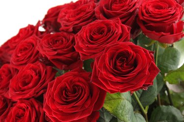 Similar image 11278864