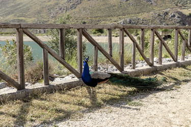 Similar image 11279210