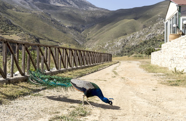 Similar image 11279211