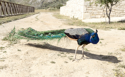 Similar image 11279212