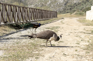 Similar image 11279215