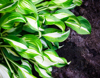 Similar image 11277779