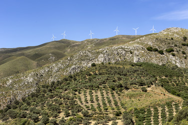 Similar image 11283707