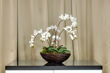 Similar image 11279003