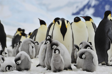 Similar image 11287700