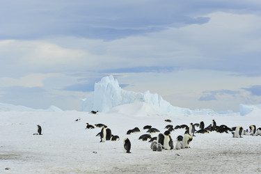 Similar image 11287735