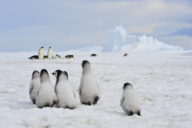 Similar image 11287757