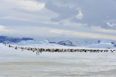 Similar image 11287758