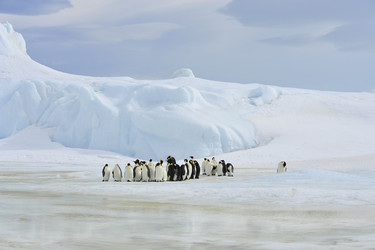 Similar image 11287813