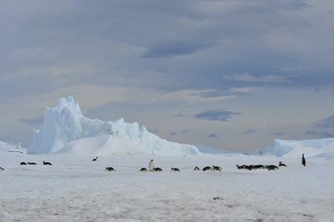 Similar image 11287818