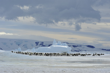 Similar image 11287819