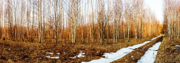 Similar image 11278900