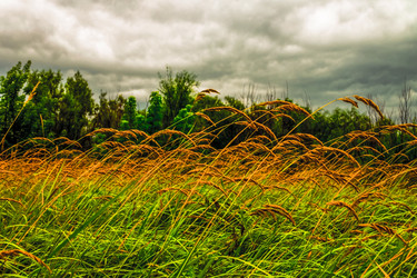 Similar image 11278901