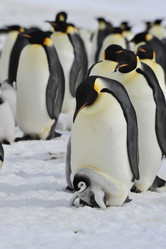 Similar image 11287906