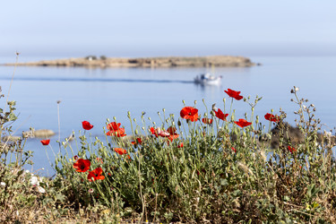 Similar image 11283918