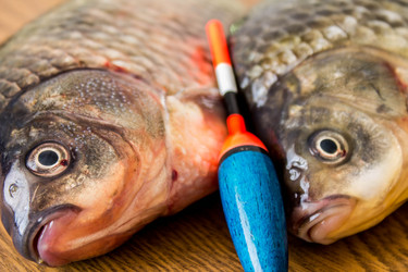 Similar image 11280793