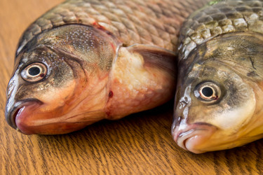 Similar image 11280794