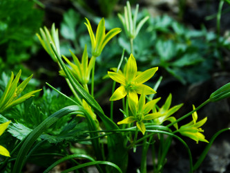 Similar image 11279221