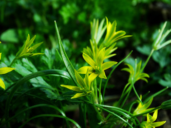 Similar image 11279224