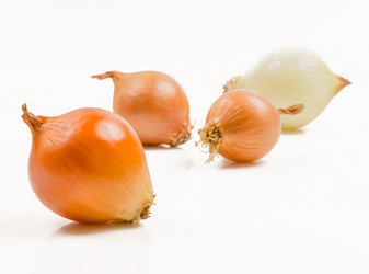 Similar image 11280475