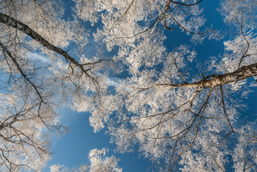 Similar image 11320897