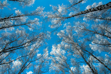 Similar image 11320899