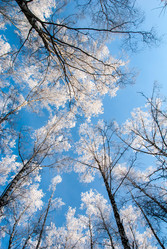 Similar image 11320902