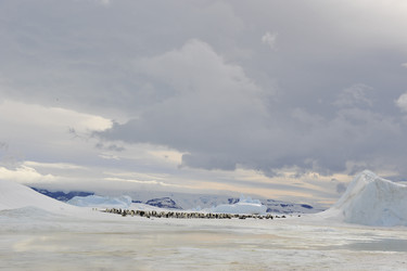 Similar image 11287741