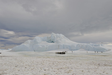 Similar image 11287759