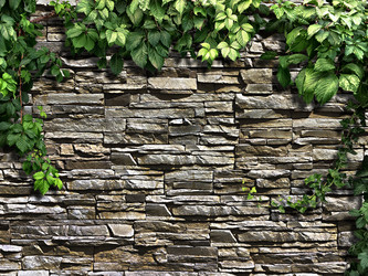 Similar image 11280546