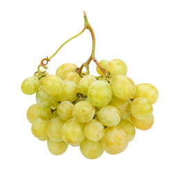 Similar image 11280566