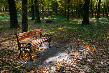 Similar image 11280568