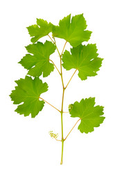 Similar image 11280569