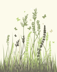 Similar image 11281987