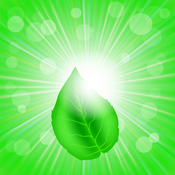 Similar image 11281401