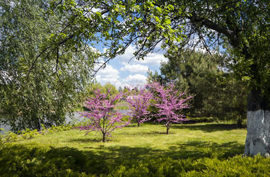 Similar image 11321897