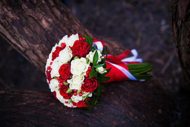 Similar image 11283355