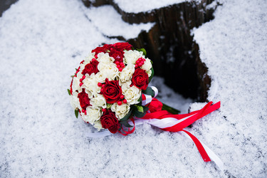 Similar image 11283615