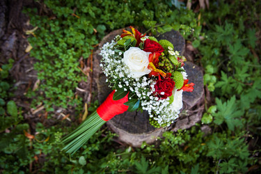 Similar image 11283262