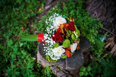 Similar image 11283263